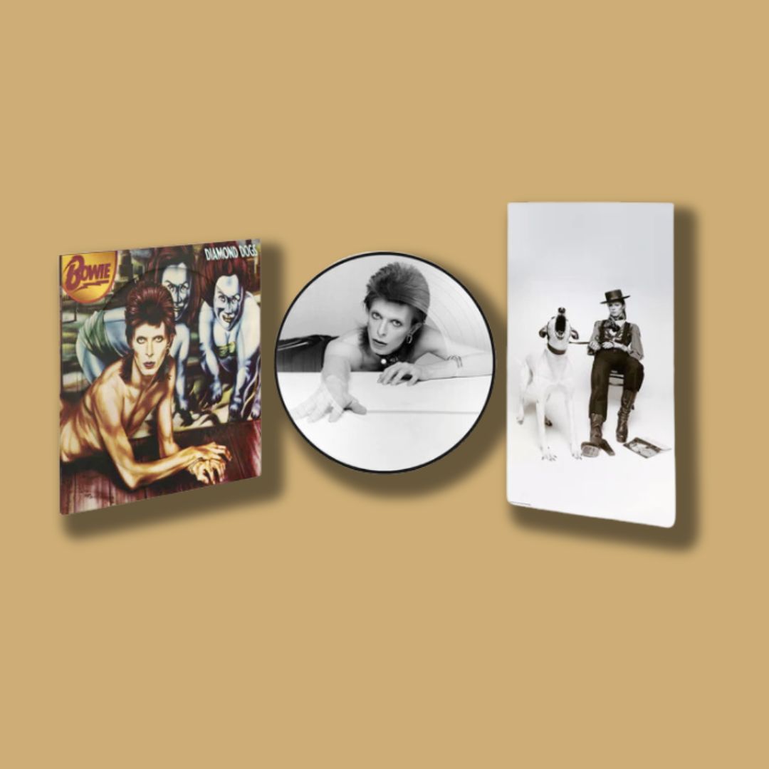 Diamond Dogs (50th Anniversary Picture Disc)