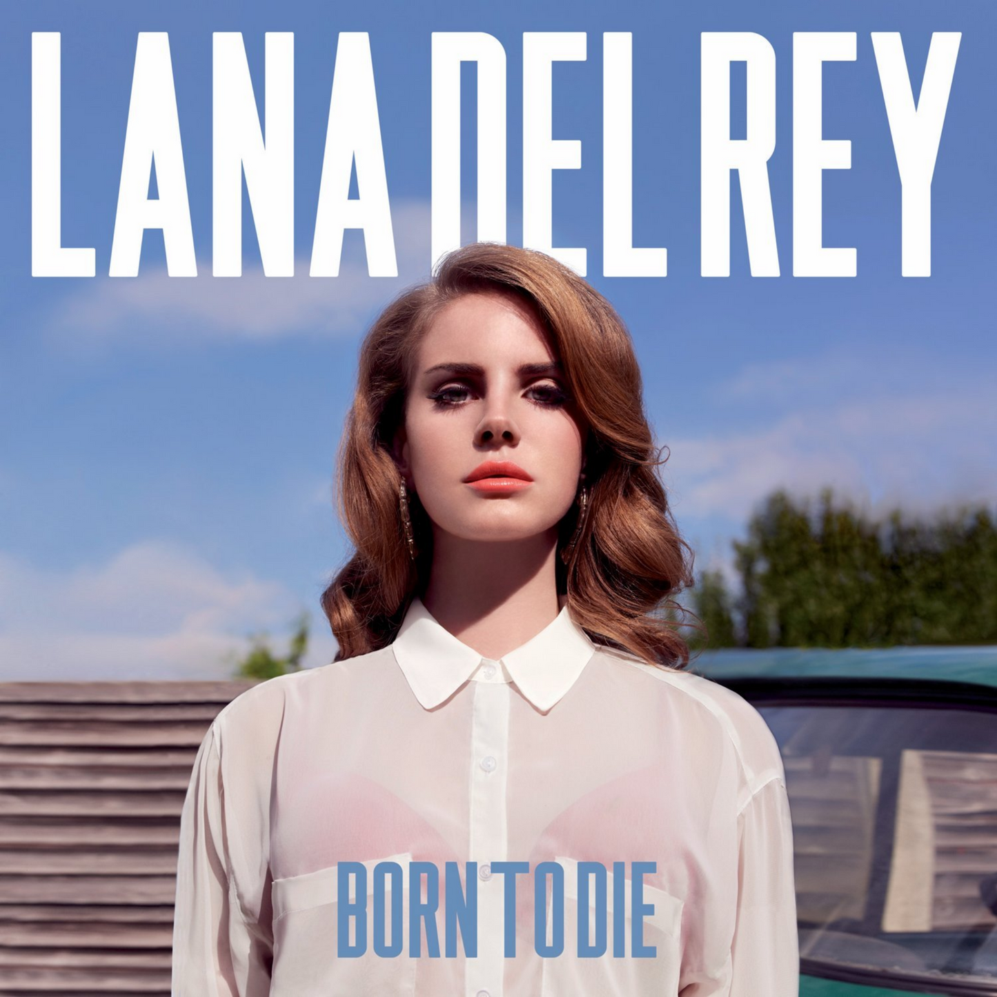 Vinyl Record Cover