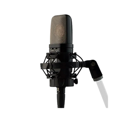 Warm Audio WA14 Condenser Microphone