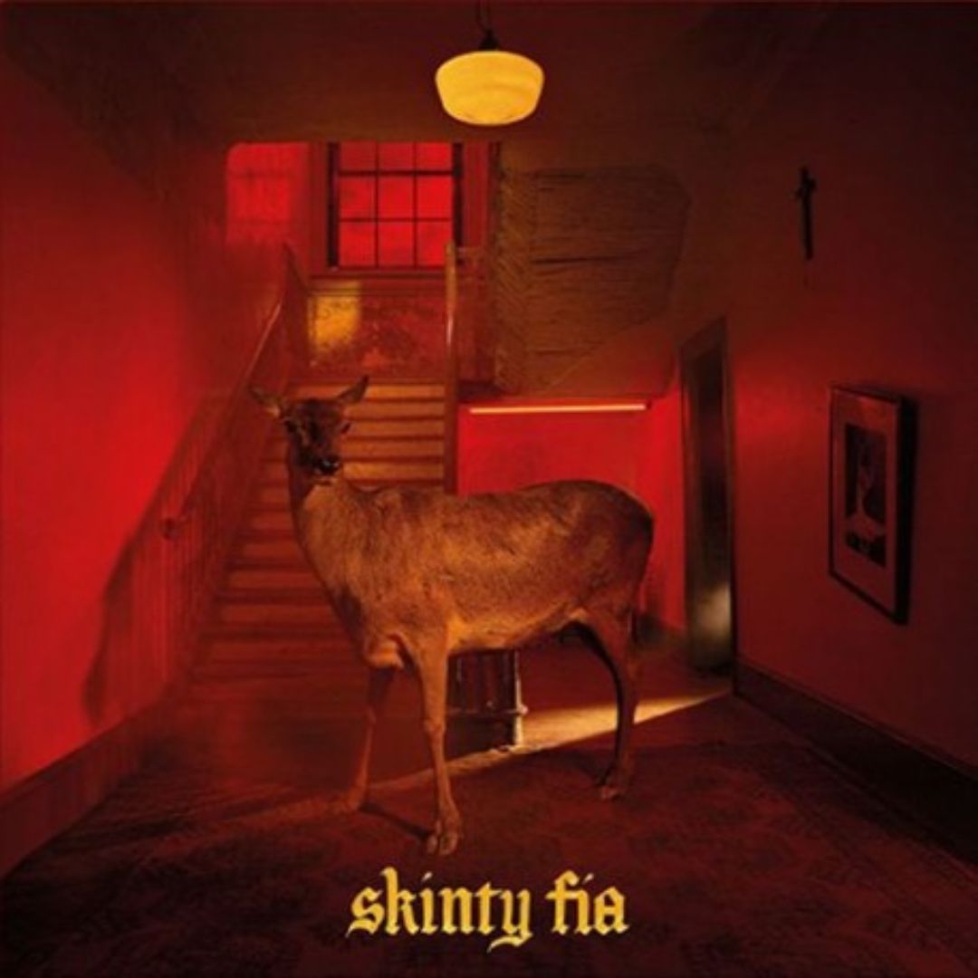 Skinty Fia (Deluxe 2LP Vinyl)
