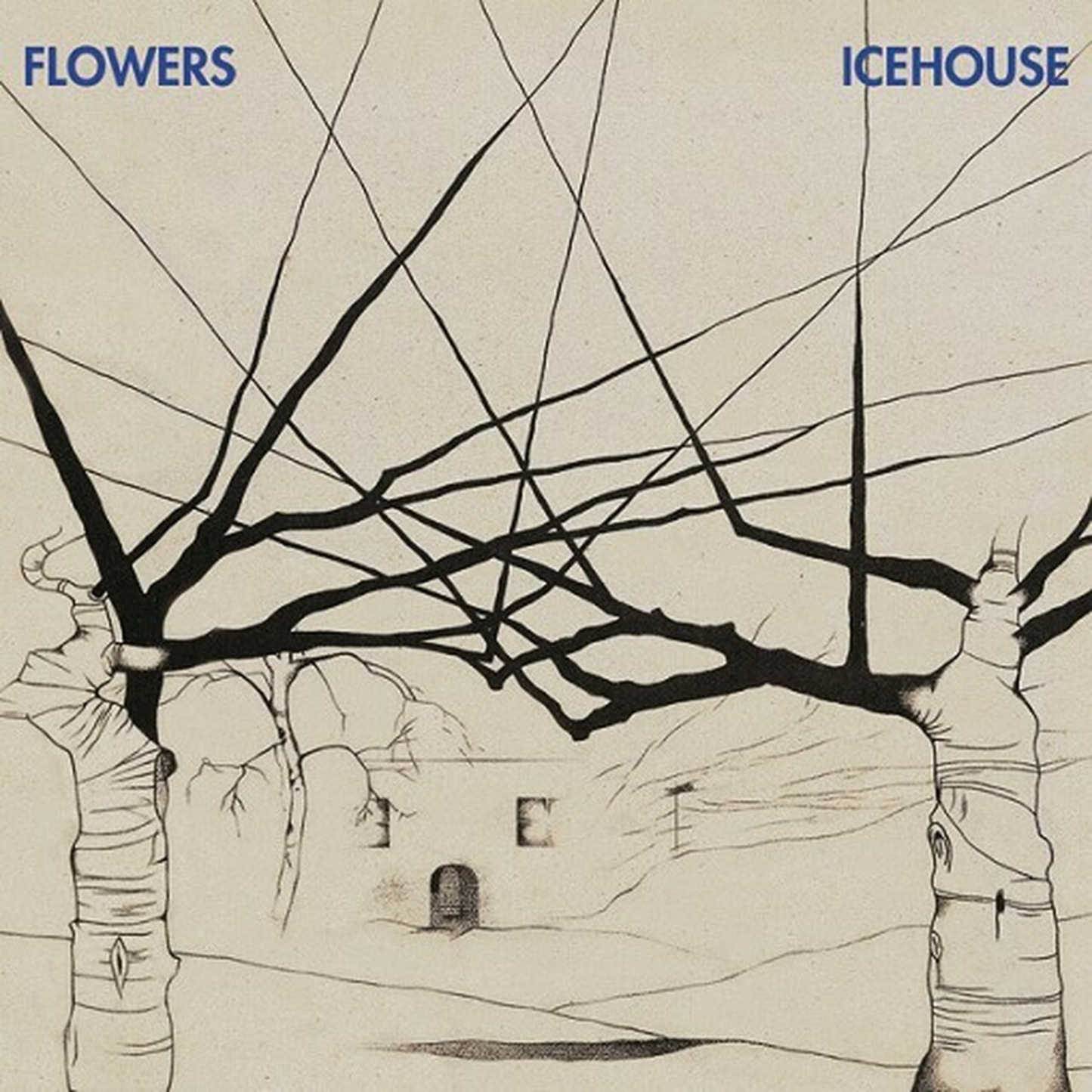 Vinyl Record Cover