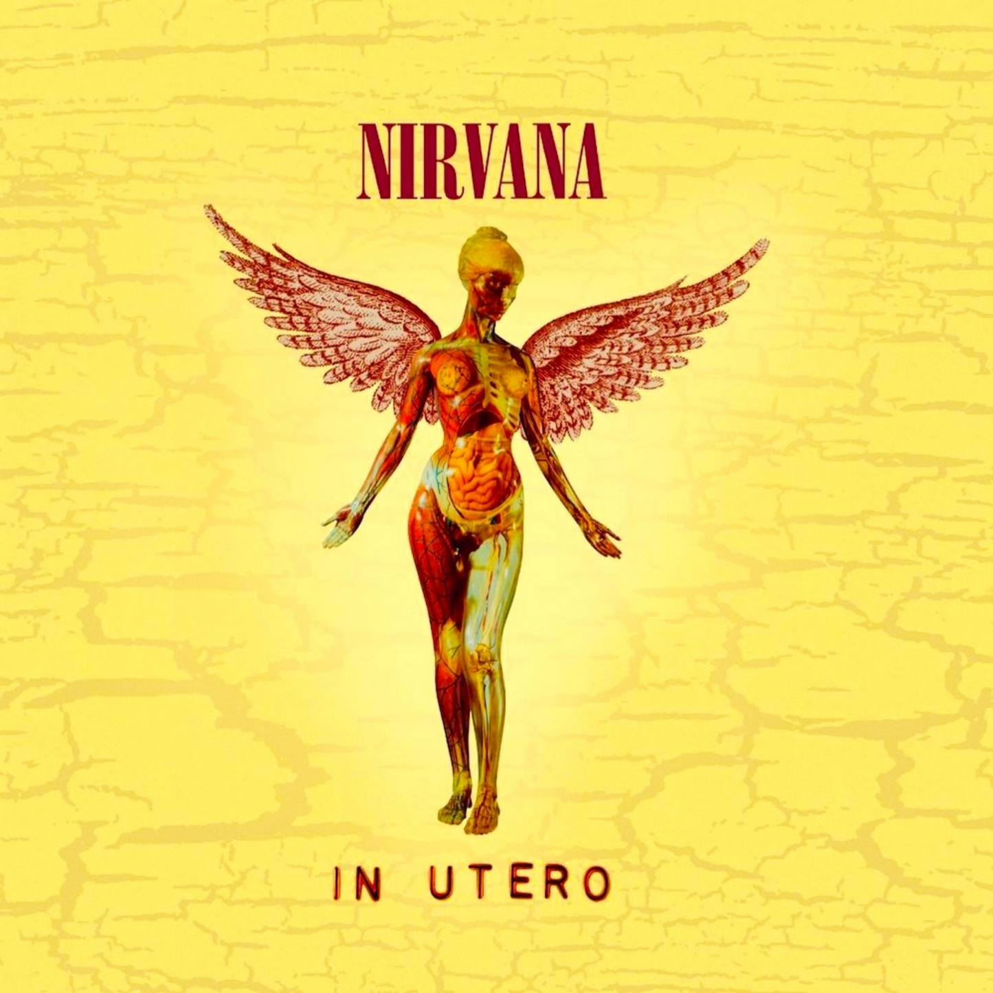 Vinyl Record Cover