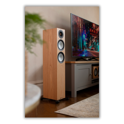 Silver 300 (7G) Floorstanding Speakers