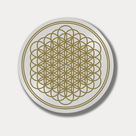 Sempiternal (Limited Edition 10th Anniversary Picture Disc)