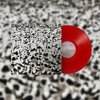 Flood (Opaque Red Vinyl)